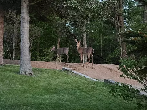Other - 5810 Birchdale Rd, Brainerd, MN 56401 photo 16 of 18