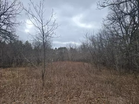 L11, Zimmerman, MN 55398