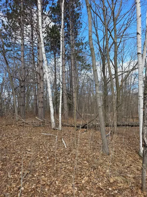 00 Highway W, Weyerhaeuser, WI 54895