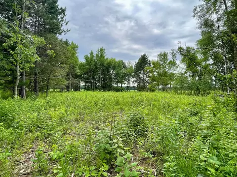 tbd Pacer Dr, Browerville, MN 56438