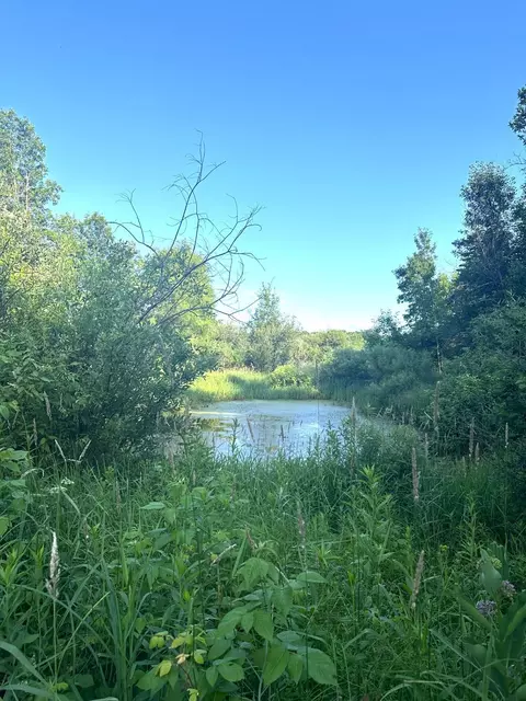 16913 220th St, Milaca, MN 56353 photo 4