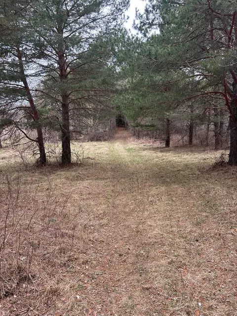 tbd 253rd St NW, Zimmerman, MN 55398