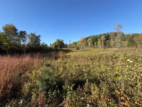 tbd Riverview Pl, Merrifield, MN 56465 photo 19