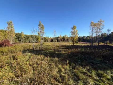 tbd Riverview Pl, Merrifield, MN 56465 photo 3