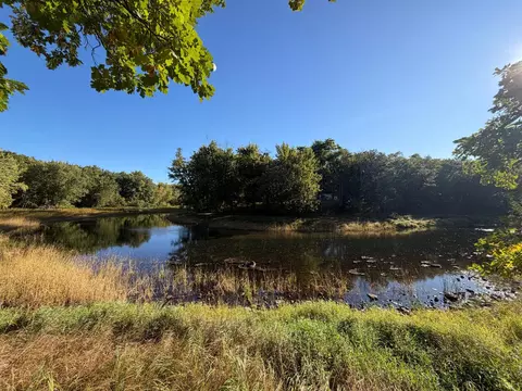 tbd Riverview Pl, Merrifield, MN 56465 photo 14