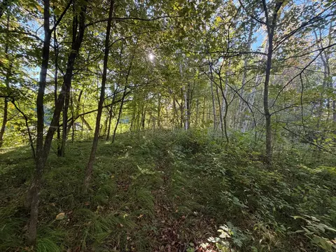 tbd Riverview Pl, Merrifield, MN 56465 photo 17