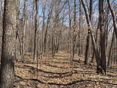 tbd Riverview Pl, Merrifield, MN 56465 photo 35