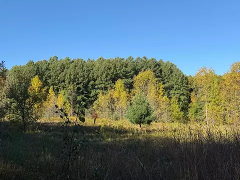 tbd Riverview Pl, Merrifield, MN 56465 photo 11