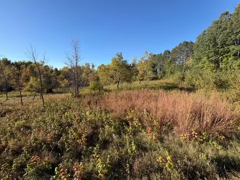 tbd Riverview Pl, Merrifield, MN 56465 photo 4
