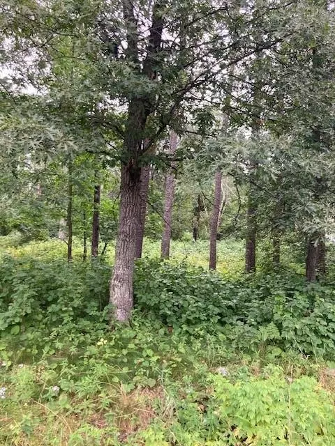 lot39 40 Owl Cir, Breezy Point, MN 56472