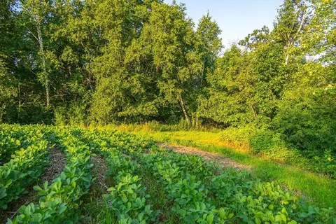 tbd County S Rd, Blair, WI 54616
