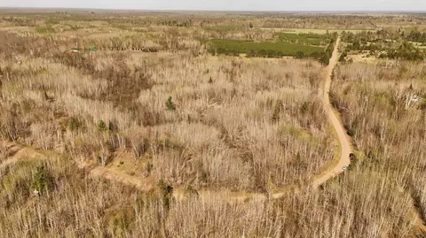 80729 Tamarack Ranch Rd, Sandstone, MN 55072