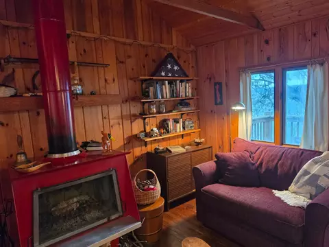Living - 20519 485th St, Mcgregor, MN 55760 photo 3 of 5
