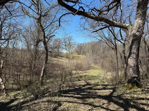 tbd County 49 Blvd, Dennison, MN 55018 photo 25