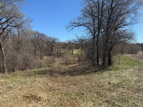 tbd County 49 Blvd, Dennison, MN 55018