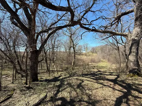 tbd County 49 Blvd, Dennison, MN 55018 photo 24