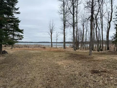 42585 N Little Turtle Rd, Marcell, MN 56657