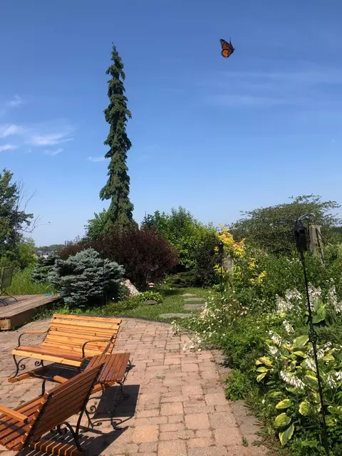 Exterior - 201 Hilltop Rd, Shell Lake, WI 54871 photo 13 of 15