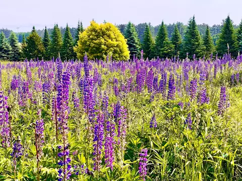 Other - 201 Hilltop Rd, Shell Lake, WI 54871 photo 13 of 13