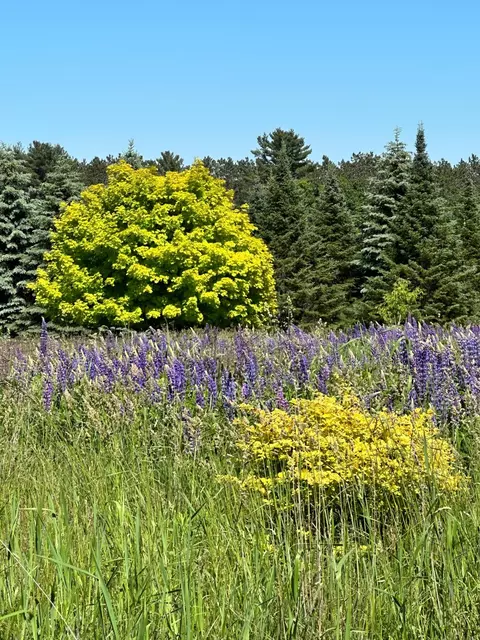 Other - 201 Hilltop Rd, Shell Lake, WI 54871 photo 12 of 13