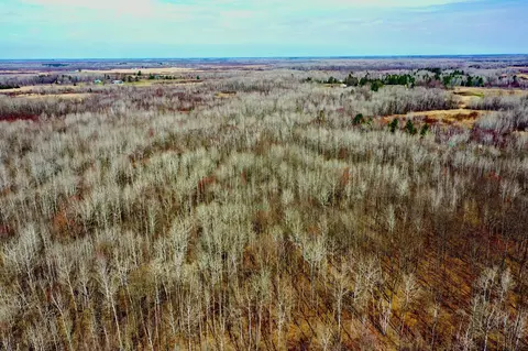 Na Beaver Claw Rd, Brook Park, MN 55007