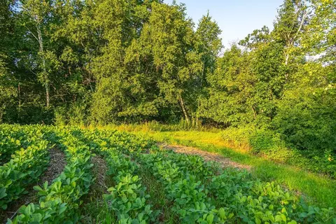 0 Cty S Rd, Blair, WI 54616