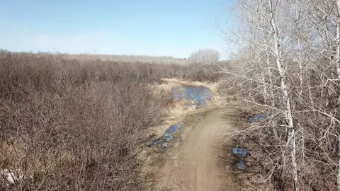 tbd Basswood Dr, Cushing, MN 56443 photo 3