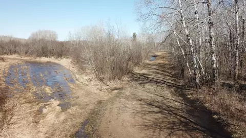 tbd Basswood Dr, Cushing, MN 56443 photo 4
