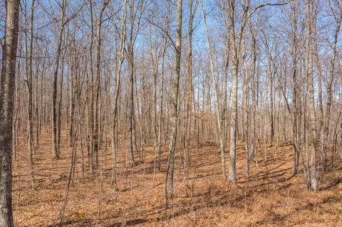 tbd 250th Pl, Isle, MN 56342 photo 6