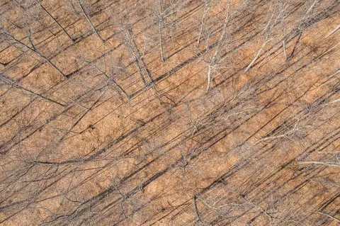 tbd 250th Pl, Isle, MN 56342 photo 25