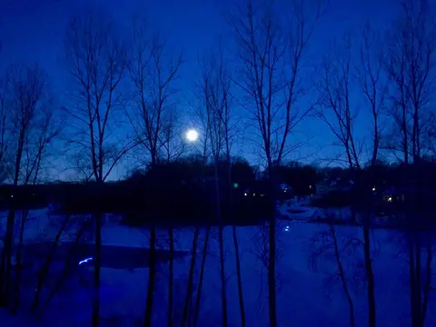 View/Area - 2229 Wall St, Eagan, MN 55122 photo 10 of 10