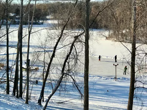 View/Area - 2229 Wall St, Eagan, MN 55122 photo 7 of 7