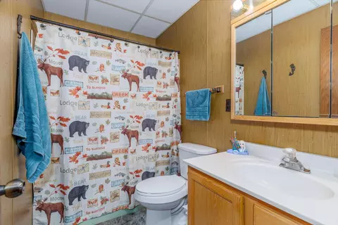 Bath - 2641 Priests Point Rd, Ely, MN 55731 photo 1 of 2