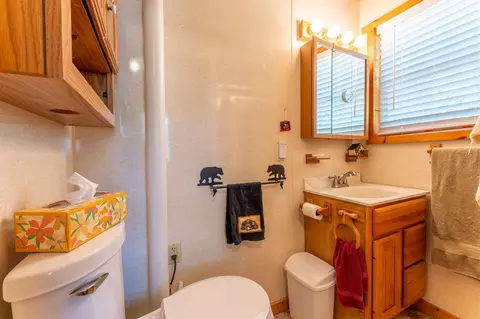 Bath - 3609 Fectos Rd, Tower, MN 55790 photo 1 of 1