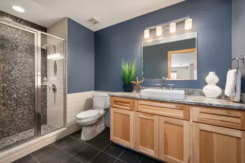 Bath - 19125 Harmony Ave, Rogers, MN 55374 photo 7 of 7