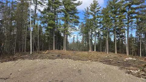 tbd 137 Crane Lake Rd, Crane Lake, MN 55725