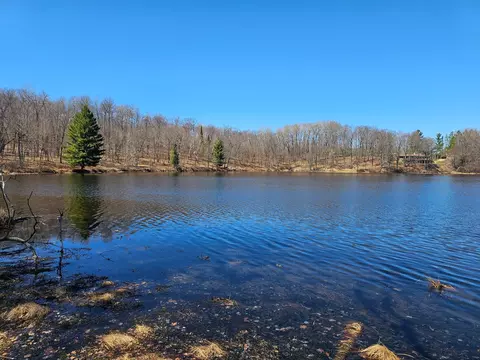 lot1 Blk 1 Swanson Rd, Deerwood, MN 56444