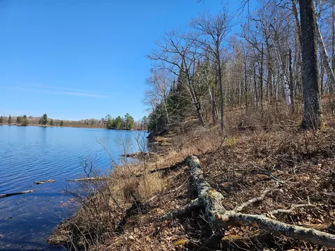 tbd Tract B Swanson Rd, Deerwood, MN 56444