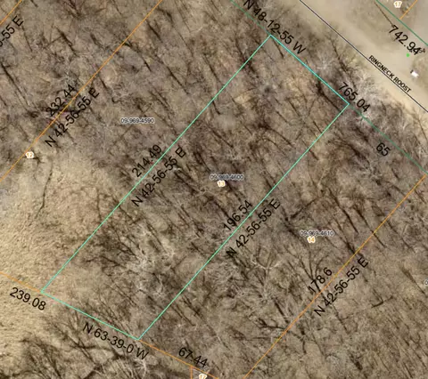 tbd Ringneck Roost, Garrison, MN 56450 photo 11