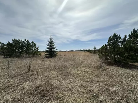 tbd 425th Ave, Perham, MN 56573 photo 4
