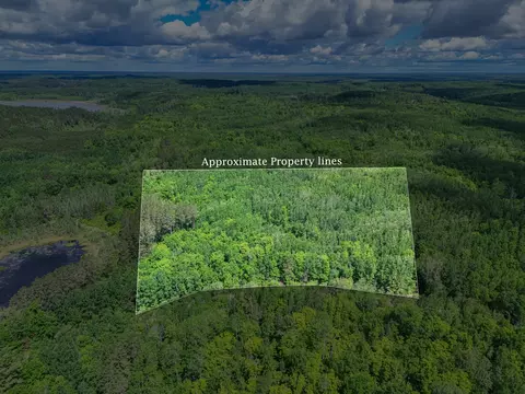 tbd Lot B Co Rd 533, Effie, MN 56639