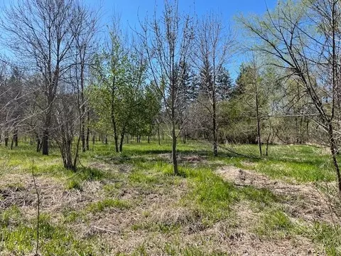 tbd Wealthy St, Albert Lea, MN 56007 photo 5