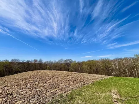 Other - 63095 220th Ave, Kellogg, MN 55945 photo 17 of 23