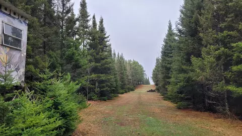 tbd Timber Wolf Trl SW, Pine River, MN 56435