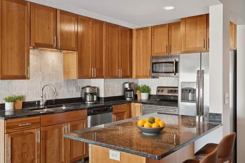 401 S 1st St #215, Minneapolis, MN 55401