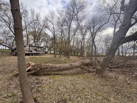 31271 247th Ave, Wendell, MN 56590 photo 7