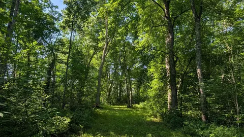 tbd Cemetery Rd, Orr, MN 55771 photo 12
