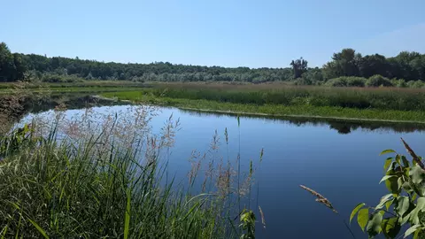 tbd Cemetery Rd, Orr, MN 55771 photo 15