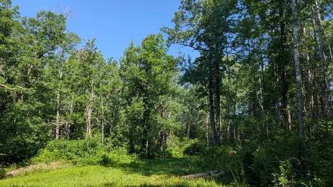 tbd Cemetery Rd, Orr, MN 55771 photo 8
