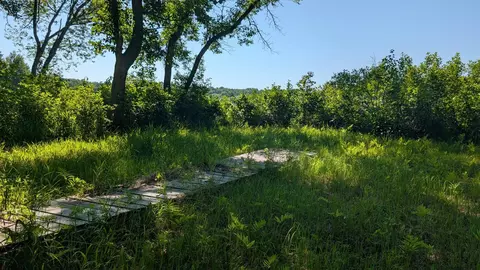 tbd Cemetery Rd, Orr, MN 55771 photo 14